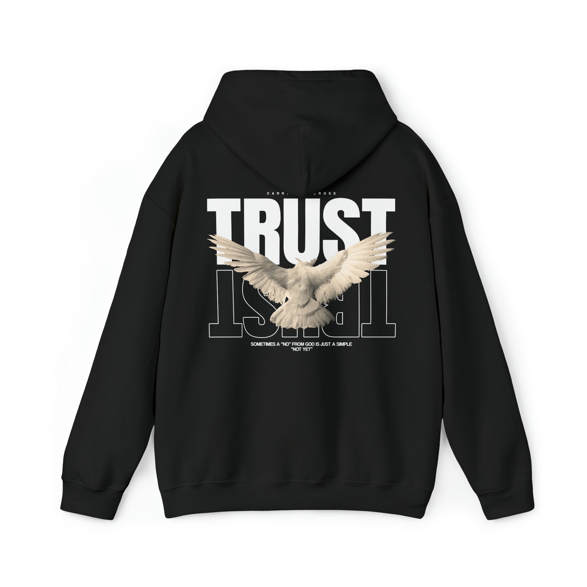 Trust Hoodie
