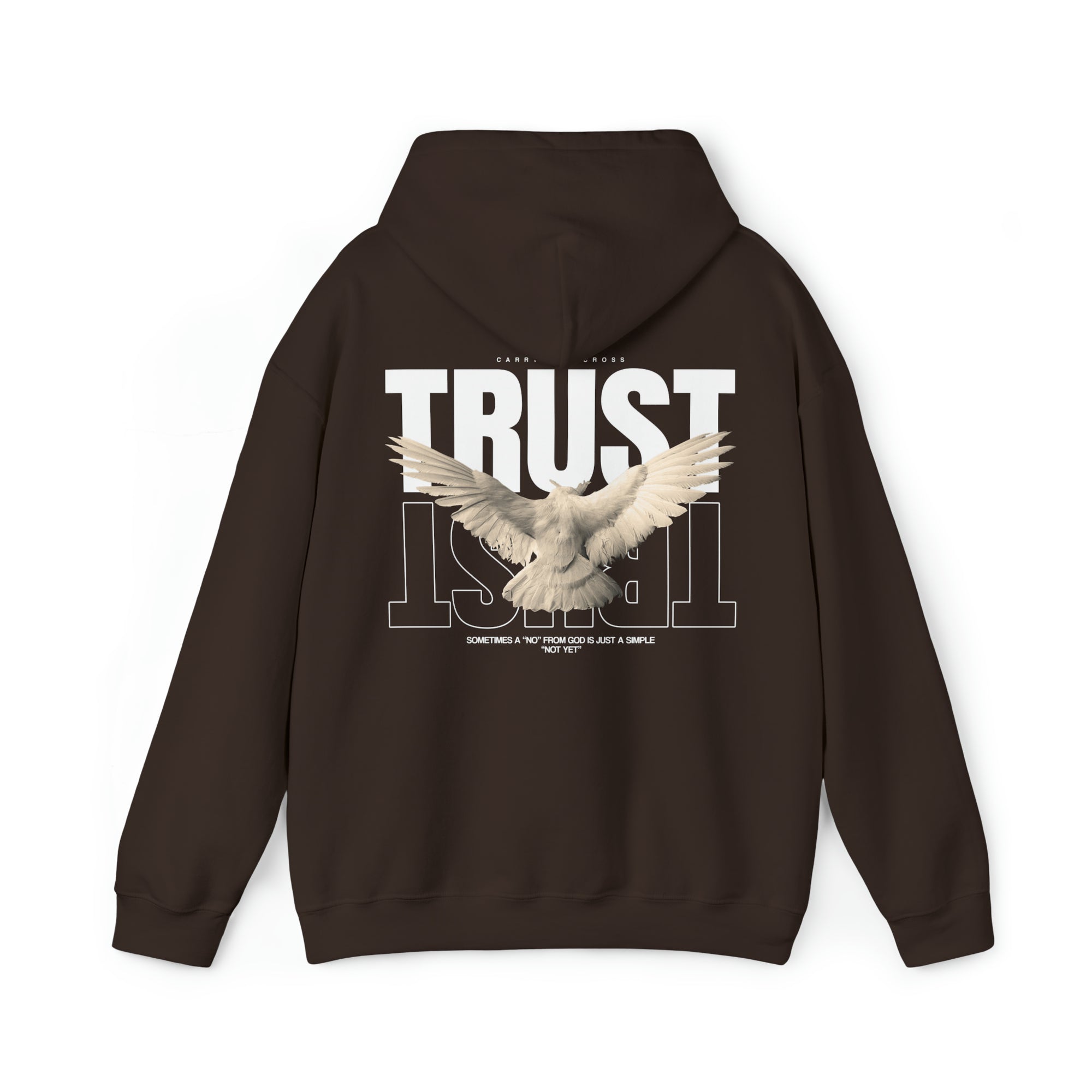 Trust Hoodie