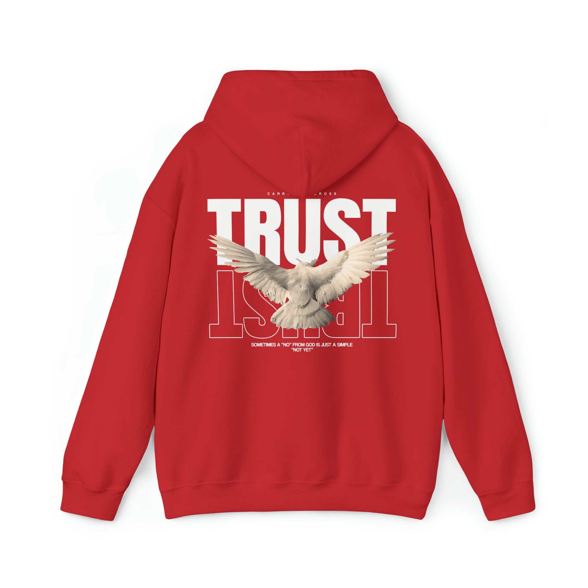 Trust Hoodie