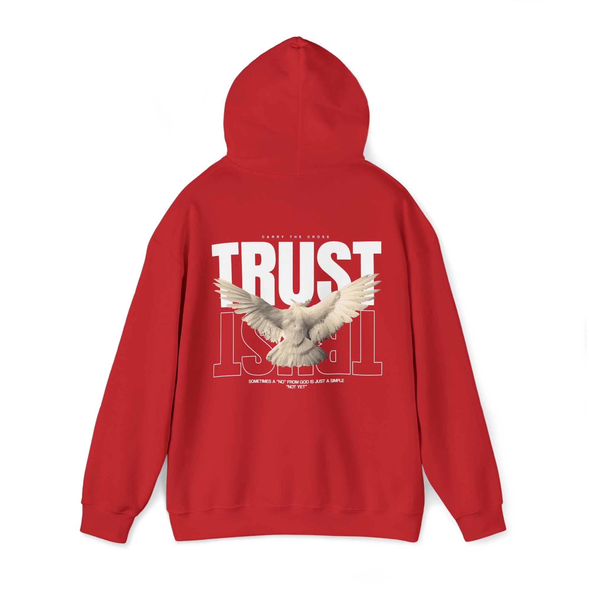 Trust Hoodie