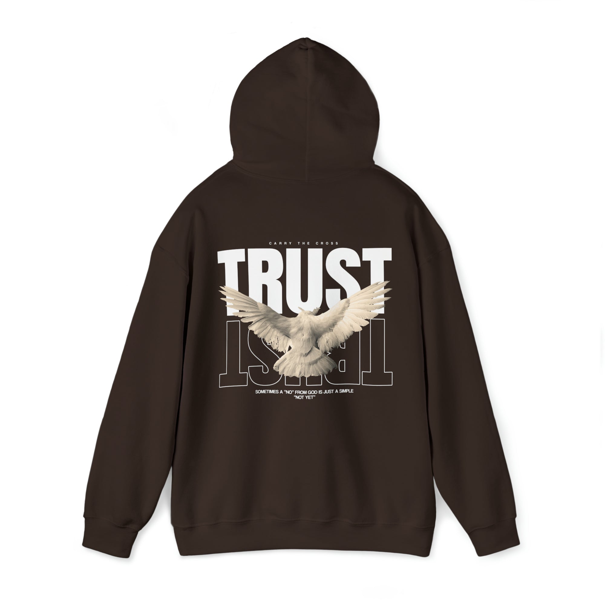 Trust Hoodie