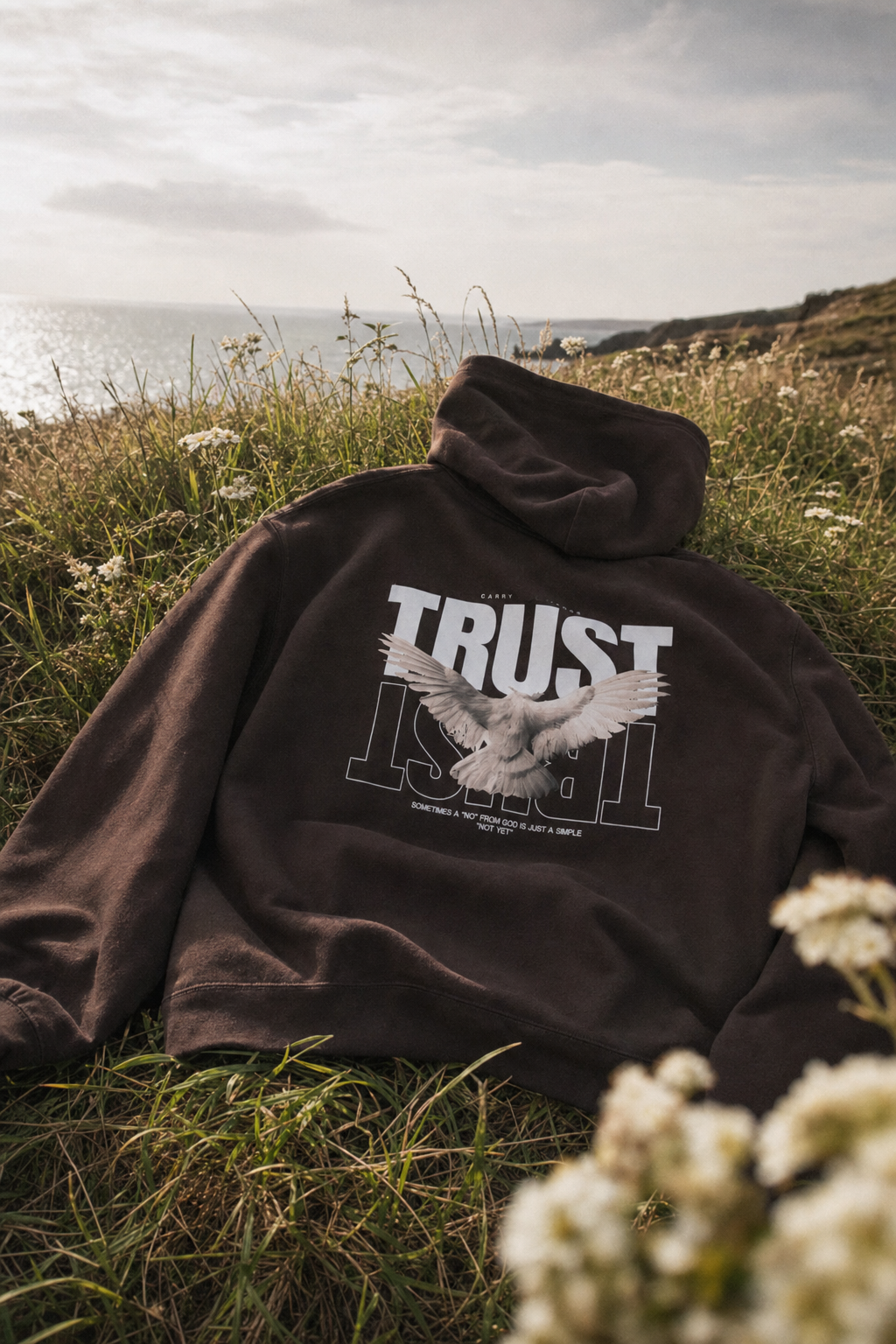 CTC approved model | pixels:565082a27ab53855c0b1fa6dfefc7311541876e2f8bf8e4d8c4a86ea6519933c | CTC-015 | Trust Hoodie | color:Dark Chocolate | side:back