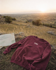CTC approved model | pixels:ab8956cebe8a00bbada5a5487c9fd664466a5ac216170da199f76ba8fd1eb9dd | CTC-035 | He Is Risen Crewneck | color:Maroon | side:front
