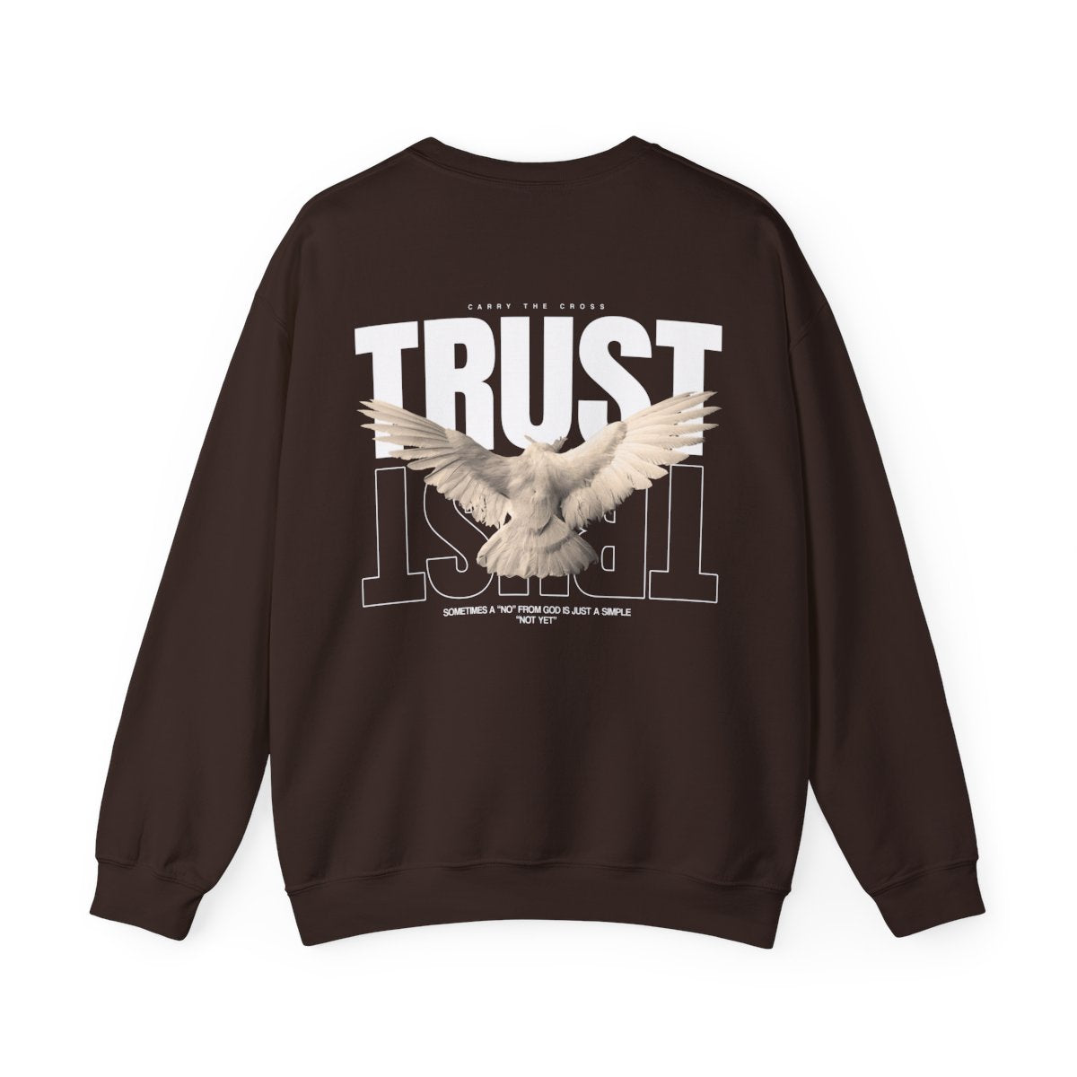 CTC exact mockup | product:7486113120344 | printify:656558f8d53be0a66205d8b1 | color:Dark Chocolate | side:back