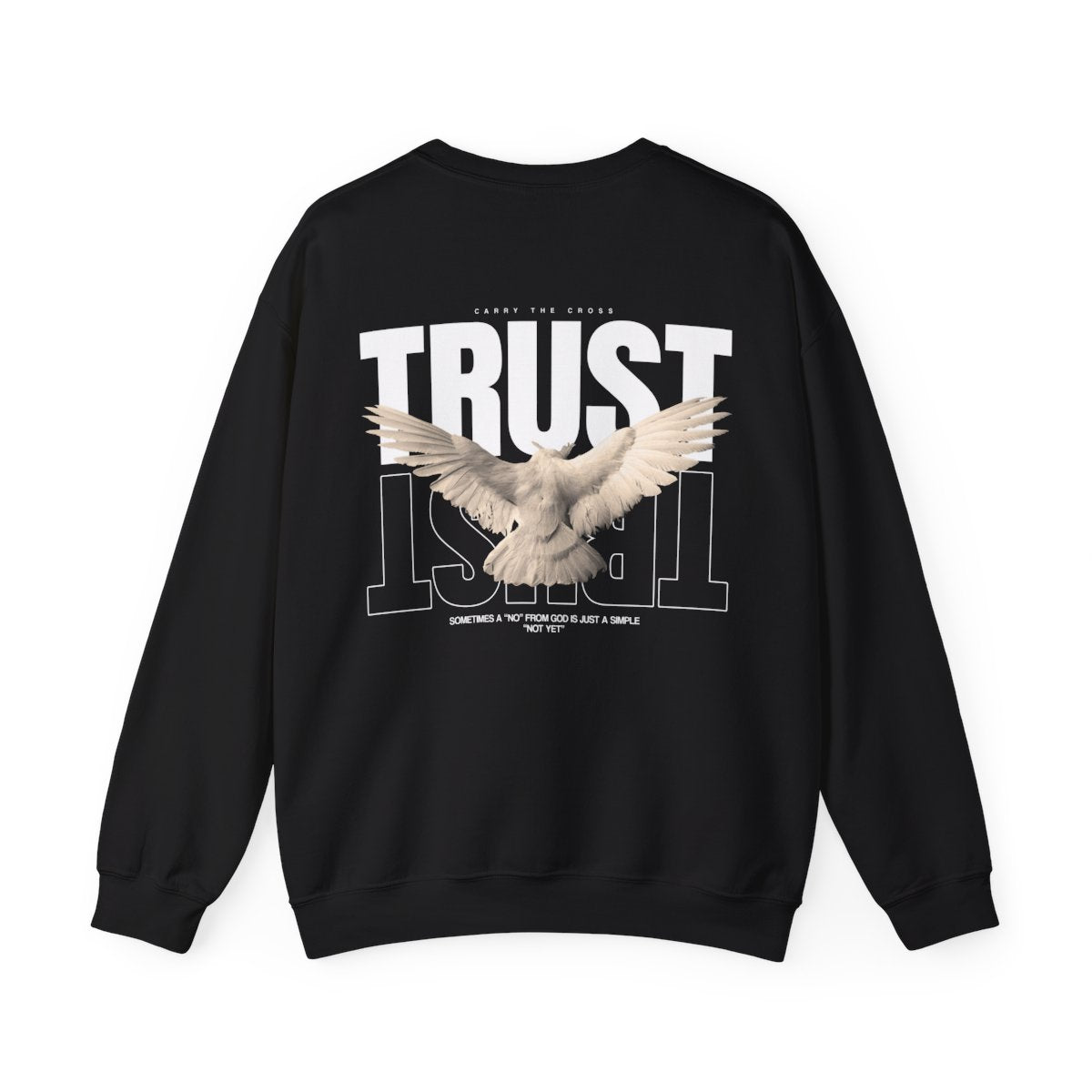 CTC exact mockup | product:7486113120344 | printify:656558f8d53be0a66205d8b1 | color:Black | side:back