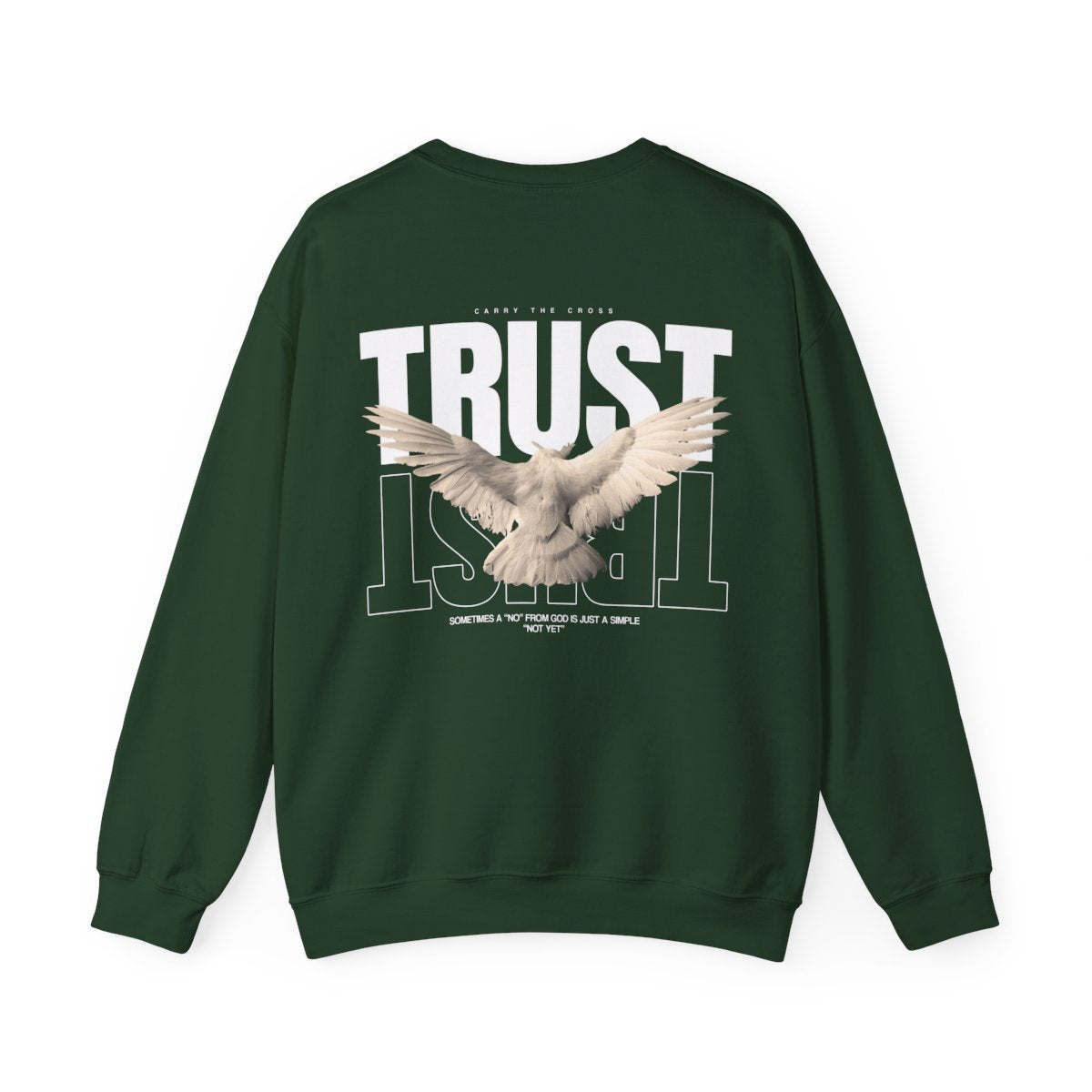CTC exact mockup | product:7486113120344 | printify:656558f8d53be0a66205d8b1 | color:Forest Green | side:back